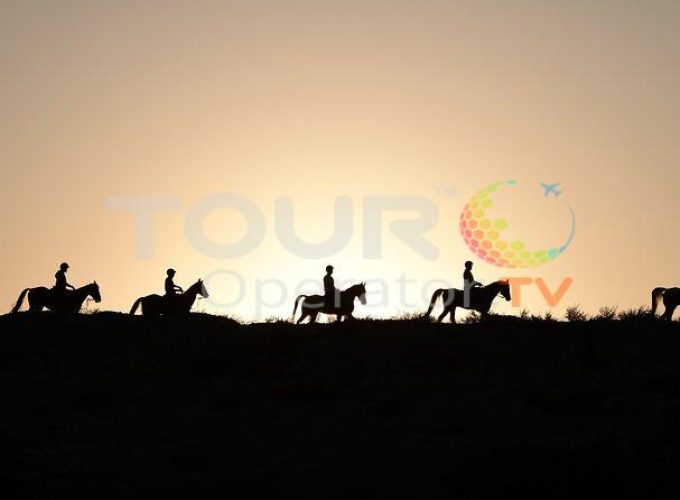 Small Group Horse Forest Ride with Private Transfers in Dubai - Tour in  Dubai